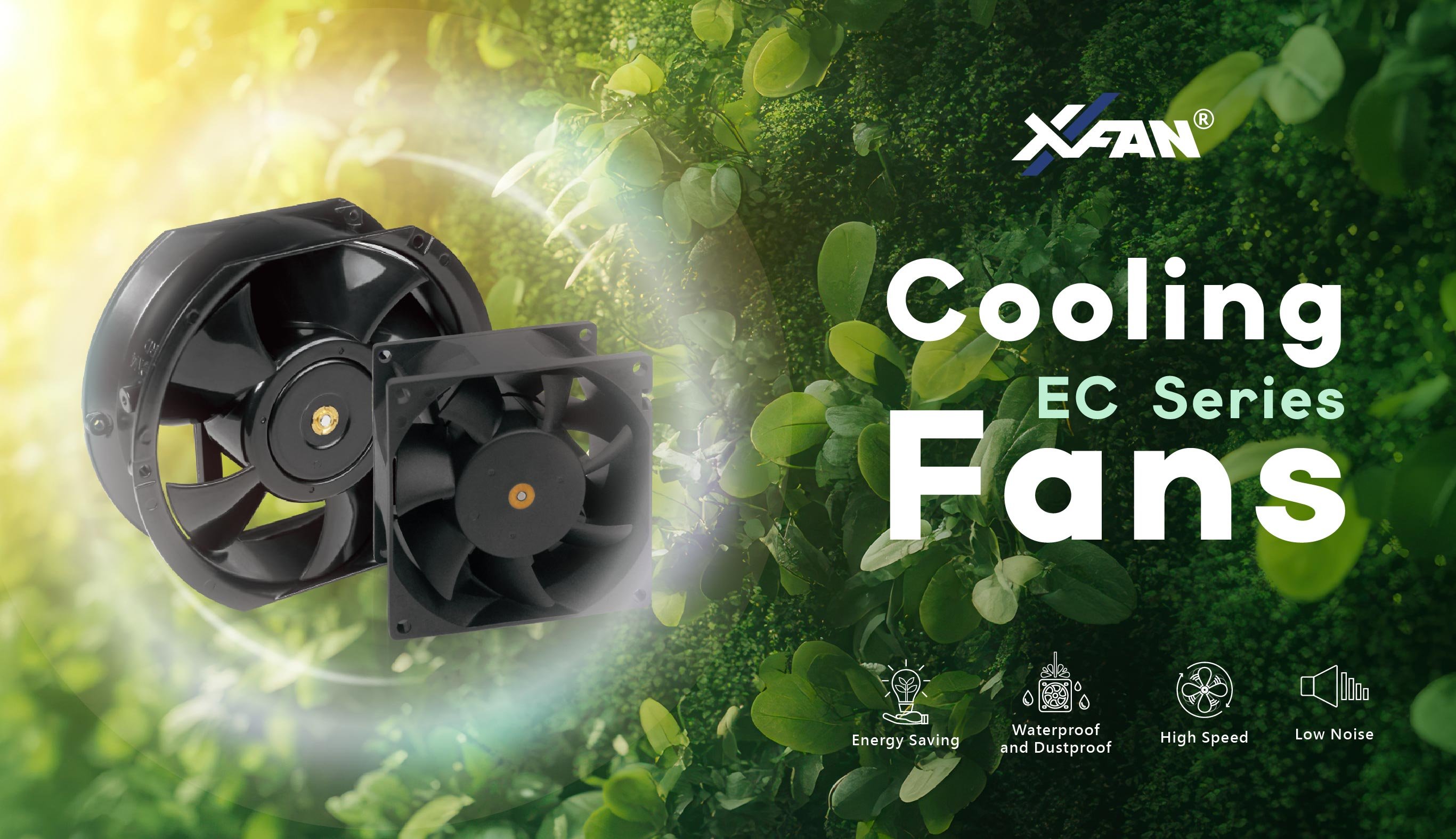 Your Energy-Efficient Cooling Partner